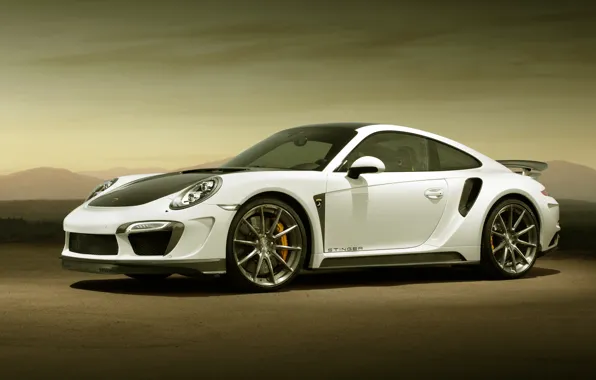 911, Porsche, GTR, Porsche, Turbo, Ball Wed, turbo, Stinger