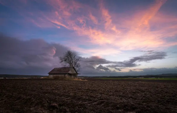 Field, home, arable land