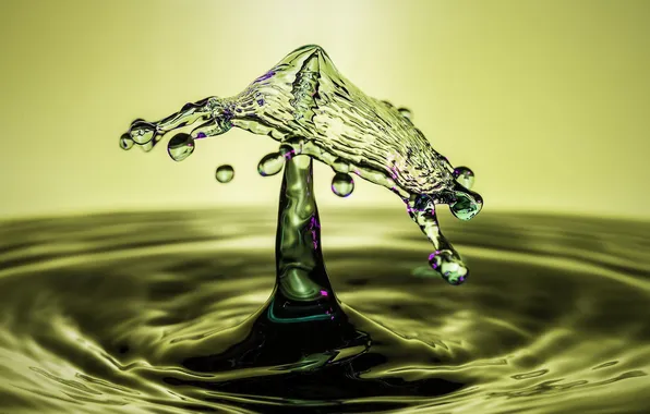 Water, drops, macro