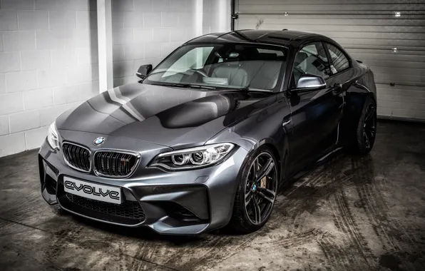 Picture black, BMW, coupe, BMW, Black, Coupe, F87