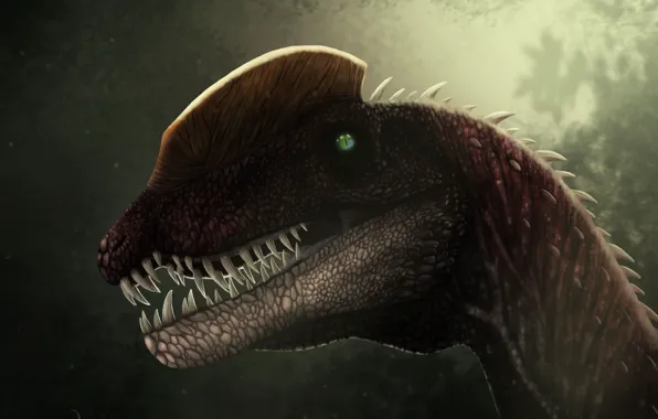 Dinosaur, head, dilophosaurus