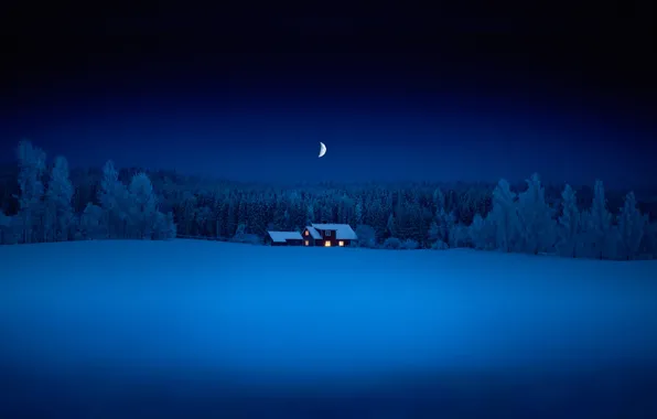 Picture forest, snow, night, a month, house