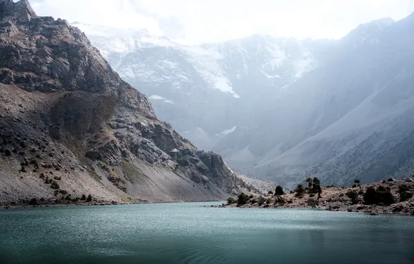 Trees, mountains, fog, lake, shore