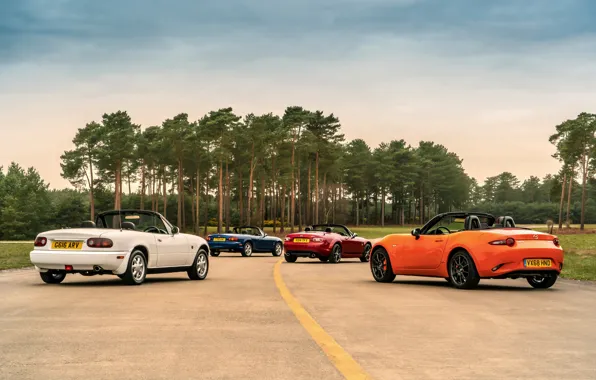 Picture road, Mazda, MX-5, roadsters, four generations (NA-NB-NC-ND)