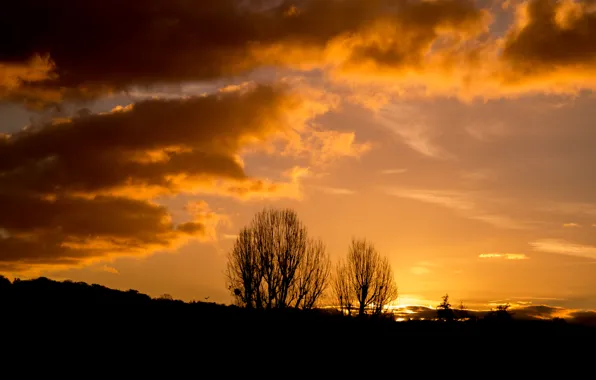 Nature, Clouds, Tree, Sun, Sunset, Autumn, View, Scenery