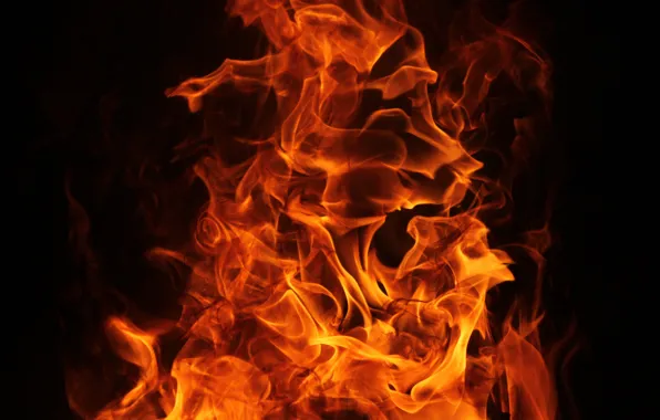 Face, lights, little excerpt