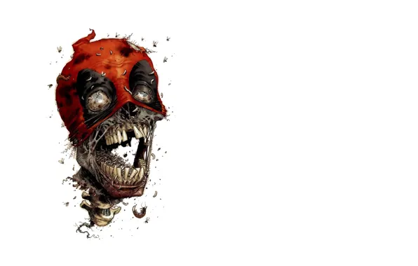 Picture void, death, skull, teeth, hood, worms, flies, ashes