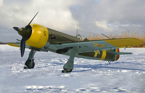 Picture ART, WW2, PAINTING, AVIATION, IAR-81C