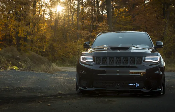 Picture SRT8, Black, Autumn, Jeep, Grand Cherokee, Forest, Brick, TrackHawk