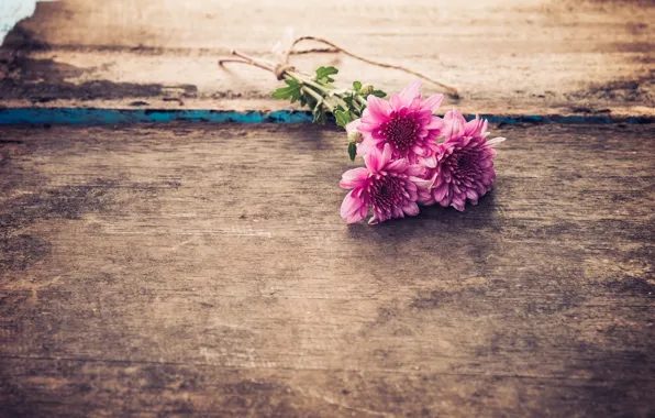 Picture flowers, bouquet, Chrysanthemum