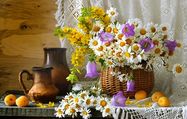 Summer, basket, chamomile, dishes, still life, bells, wildflowers, apricots