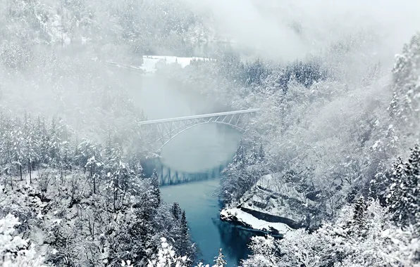 Winter, forest, bridge, nature, river