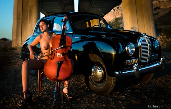 Machine, auto, chest, girl, pose, retro, cello, Rodi Almog