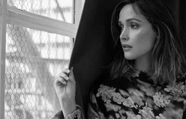 Photo, dress, actress, hairstyle, black and white, beauty, is, window