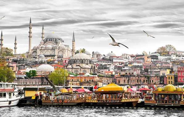 Picture seagulls, home, boats, tower, boats, Istanbul, Turkey, Palace