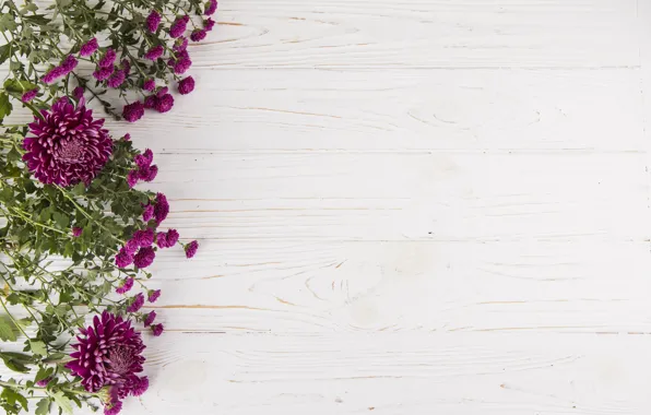 White, flowers, background, bouquet, Purple, wood, flowers, composition