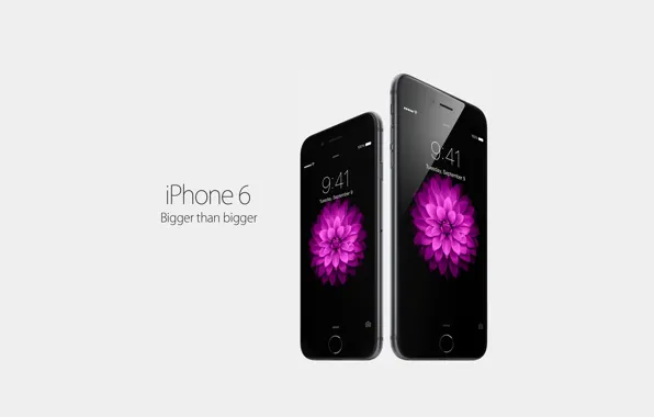 Picture Apple, metal, powerful, surface, iPhone6, a new generation, power efficient, Larger