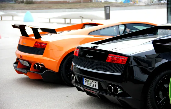 Orange, black, Lamborghini, gallardo, black, orange, Lamborghini