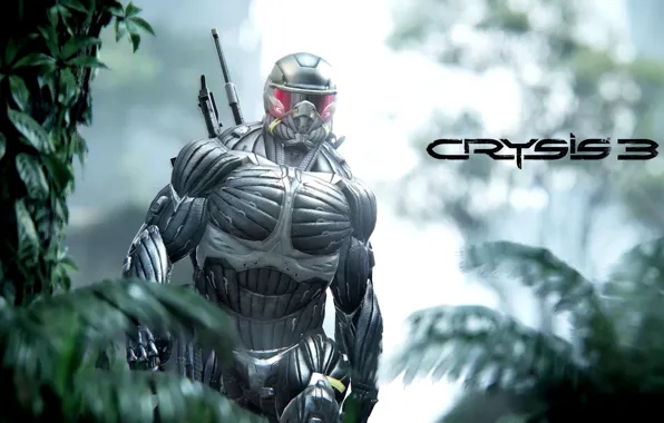 Picture Crysis, Jungle, Hunter, Nanosuit, Game, Weapon, Crysis 3, Soldier