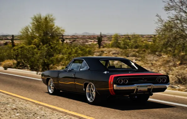 Road, strip, dodge, charger, r/t