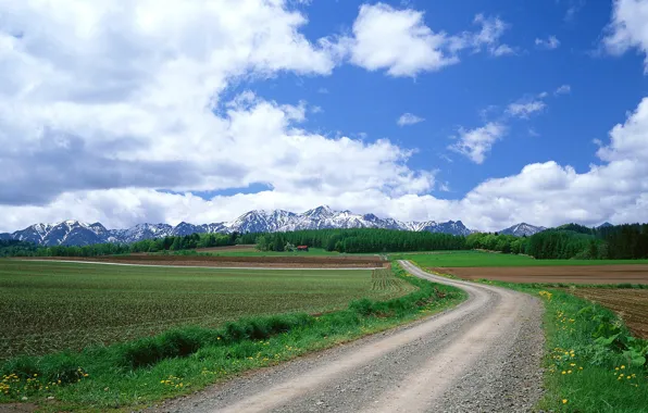 Road, field, clouds, mountains
