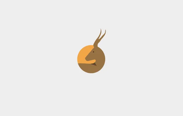 Horns, Impala, antelope