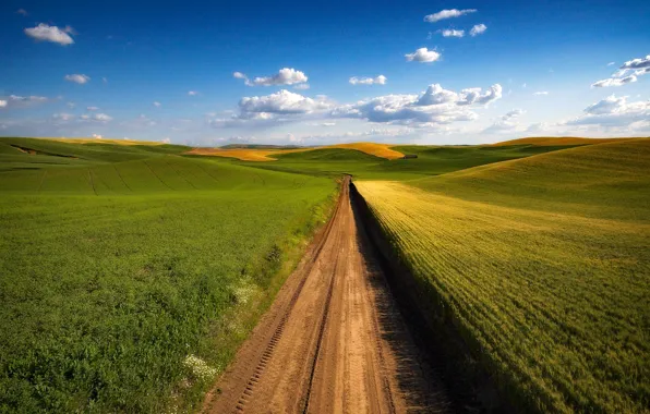 Road, greens, field, summer, grass, clouds, the way, blue