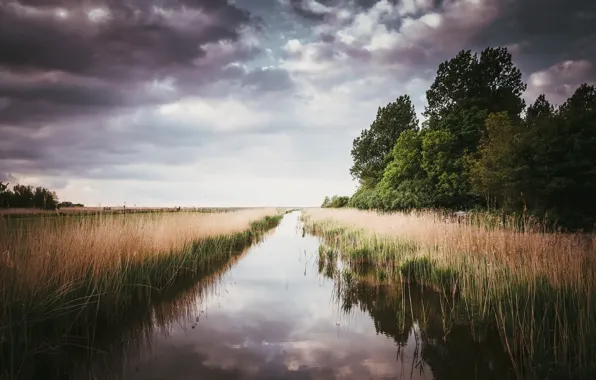 Field, the sky, channel