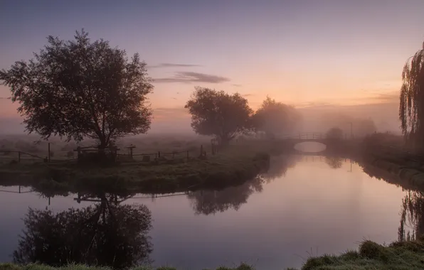 Picture the sky, grass, clouds, trees, bridge, fog, river, the fence