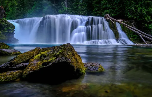 Forest, trees, river, stones, waterfall, moss, Washington, USA