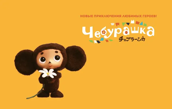 Download wallpaper background, Wallpaper, cartoon, Cheburashka, section