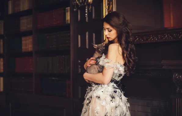 Cat, cat, girl, the dark background, grey, room, dress, wardrobe