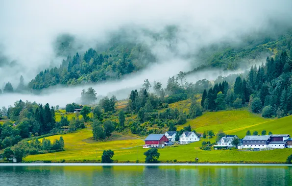 Forest, mountains, fog, shore, slope, village, haze, houses