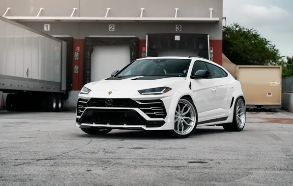 Picture Lamborghini, White, SUV, Urus, VAG, Sight