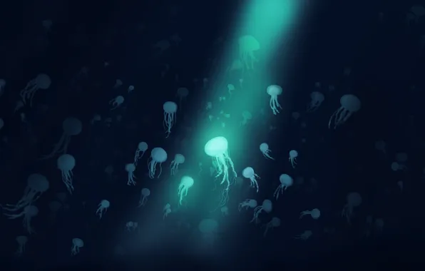 Jellyfish, under water, a beam of light