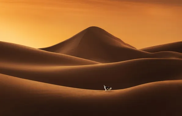 Sand, the sky, light, line, landscape, sunset, mountains, nature