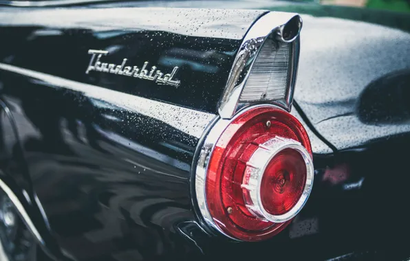 Picture Ford, Thunderbird, car, classic, car, headlight