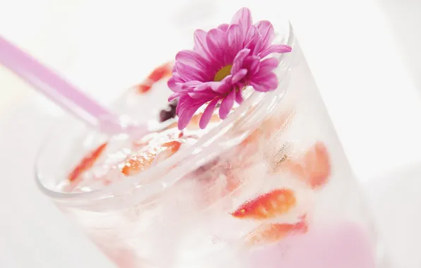 Picture flower, cocktail, drink