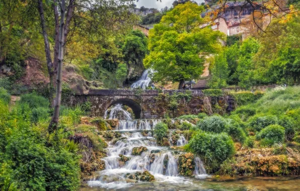 Bridge, Park, stream, stream