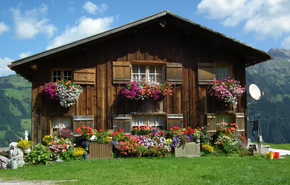 Picture house, Austria, flowers, pots, Austria, Vorarlberg, Vorarlberg