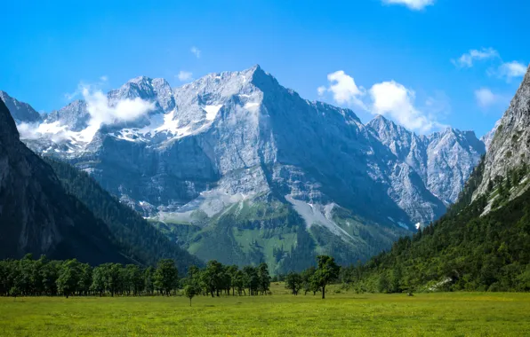 Picture the sky, trees, mountains, valley, meadow