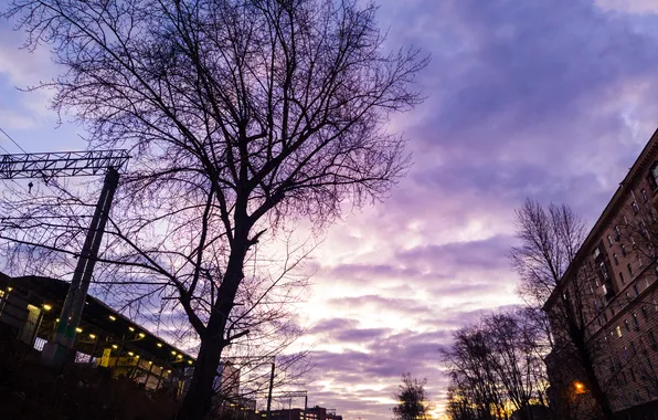 Picture winter, the sky, clouds, trees, building, home, Moscow, Russia