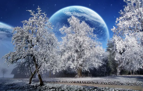 Winter, snow, trees, planet