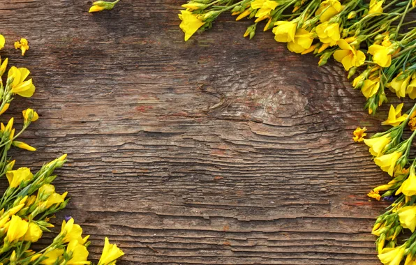 Flowers, yellow, yellow, wood, flowers, spring