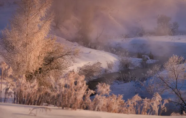 Picture winter, snow, trees, landscape, nature, fog, dawn, frost