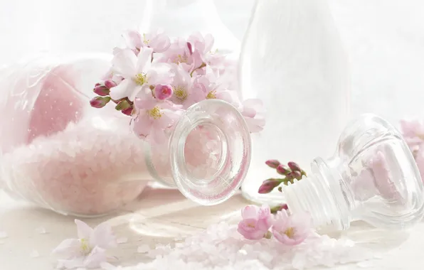 Picture macro, flowers, pink, jars, salt, inflorescence