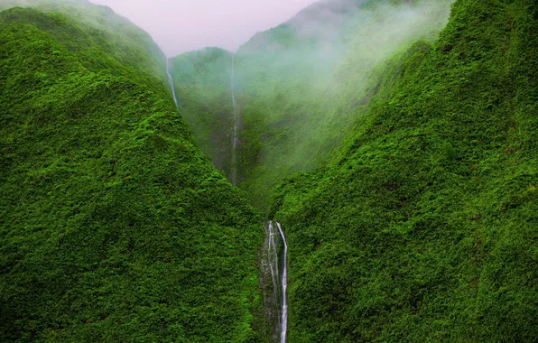 Picture forest, mountains, nature, waterfall