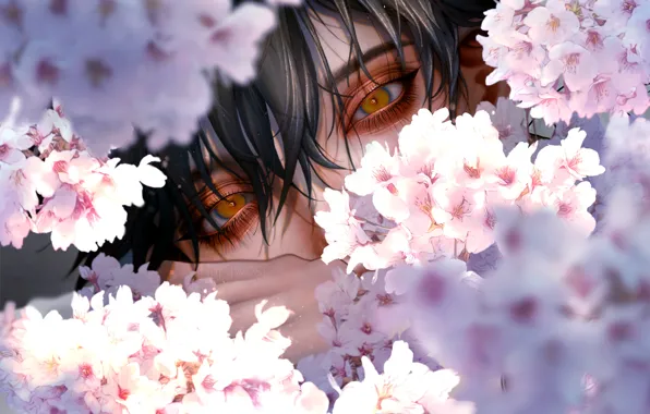 Sakura, guy, by Haruwosi