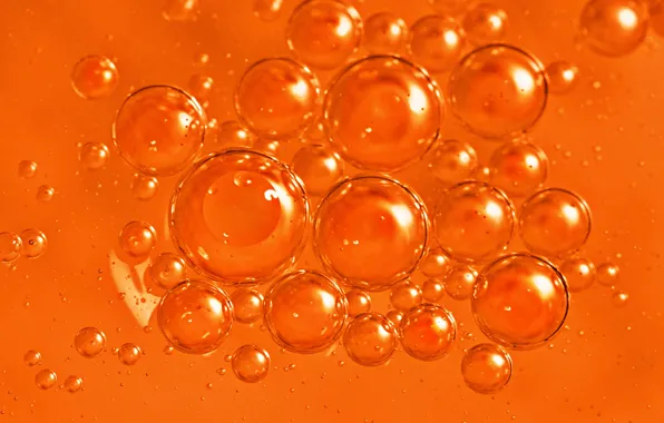 Picture water, macro, bubbles, oil, liquid, the air