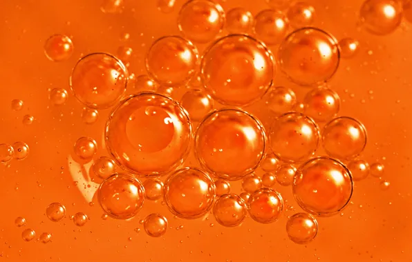 Water, macro, bubbles, oil, liquid, the air